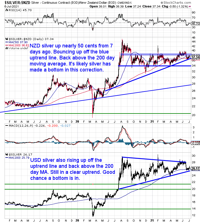 NZ Dollar Silver Chart