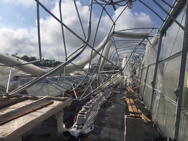 Competitive greenhouse destroyed during hurricane Irma