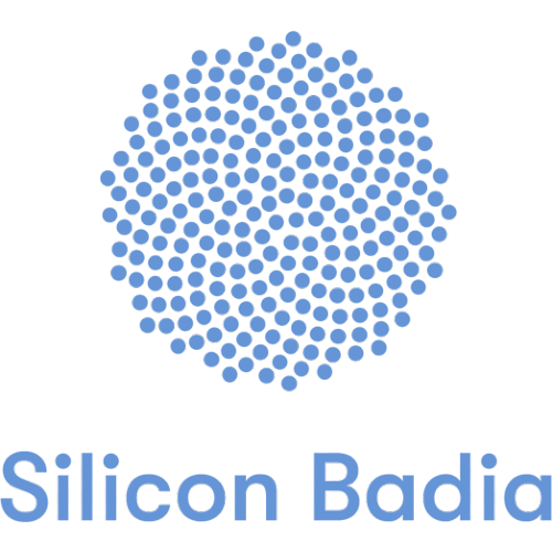 Silicon-badia