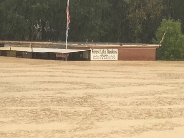 Forest Lake Gardens in Columbia during 2015 Flooding