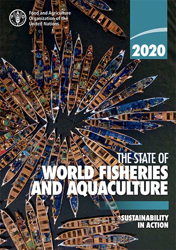 The State of World Fisheries & Aquaculture  FAO Report Cover